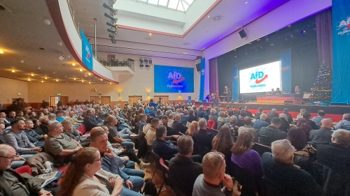 AfD 5.jpeg