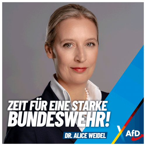 AfD 7.png