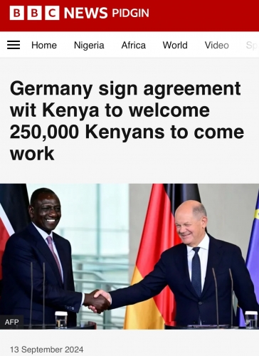 AfD 4.jpeg