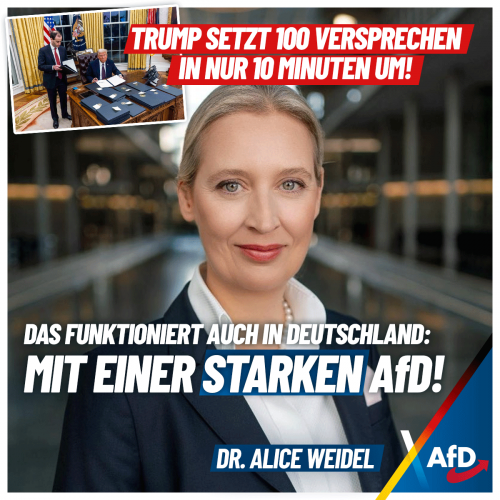 AfD 1.png