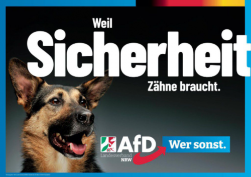AfD 7.png