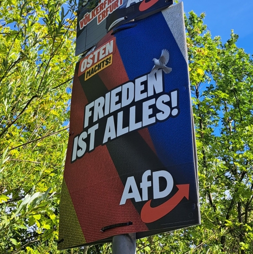 AfD 2.jpeg