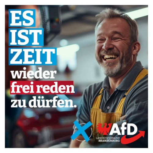 AfD 2.jpeg