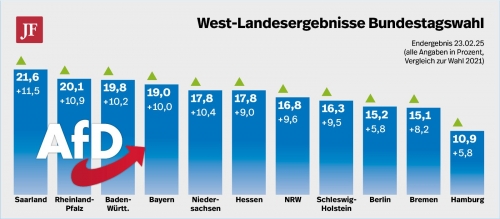 AfD A 1.jpeg