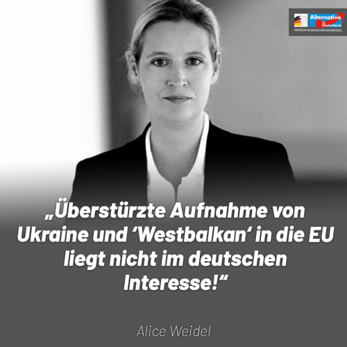 Alice Weidel.png