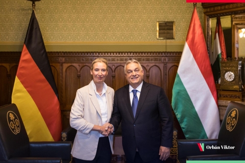 Weidel Orban.jpeg