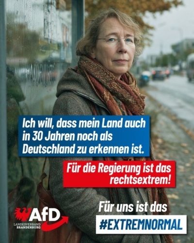 AfD B 1.jpeg