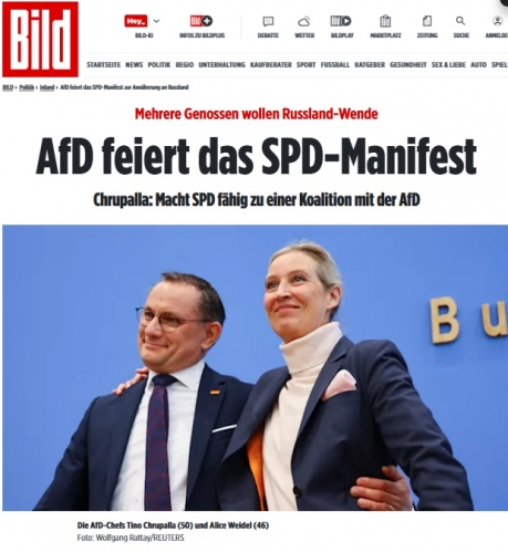 AfD 1.jpg