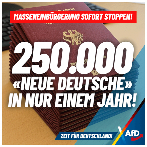 AfD 1.png