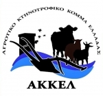 Akkel.jpg