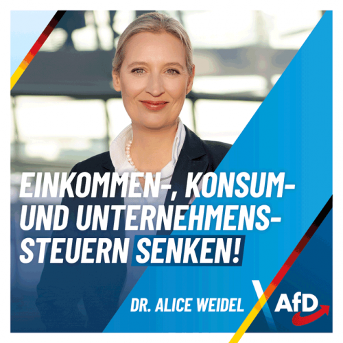 AfD 5.png