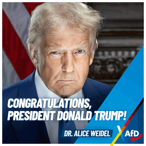 AfD 4.png