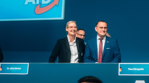 AfD 3.jpeg
