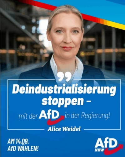 AfD NRW 1.jpg