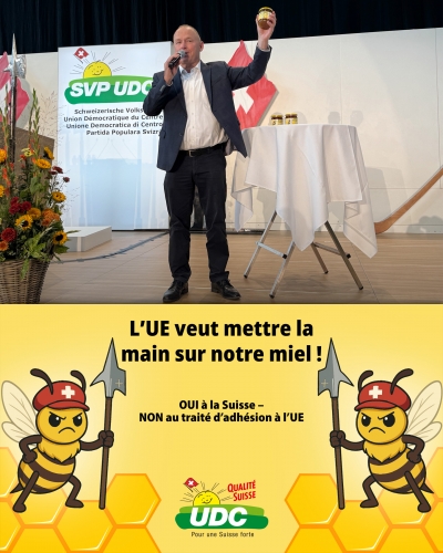 UDC 1.jpg