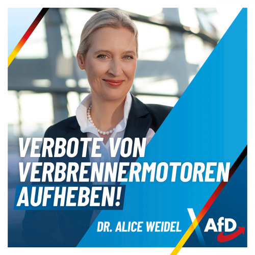 AfD 2.png