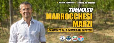 Tommaso Marrocchesi Marzi.jpeg