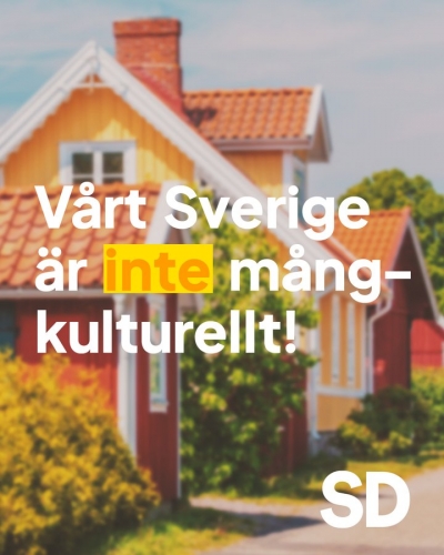 SD 1.jpg