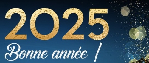 Bonne année 2025.jpg