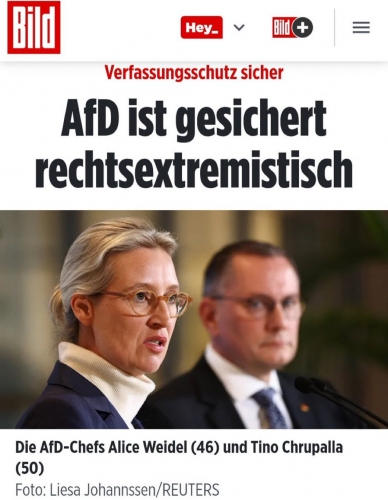AfD 1.jpeg