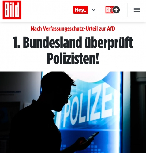 AfD 1.jpeg