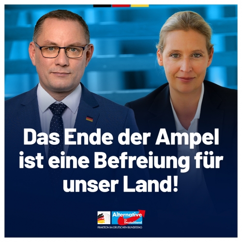 AfD 1.jpg