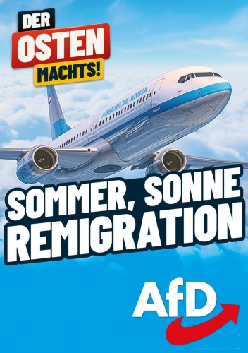 AfD 1.jpeg