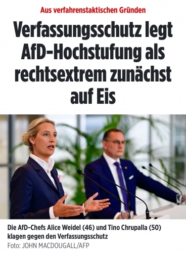 AfD 1.jpeg