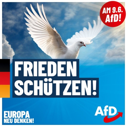 AfD 3.jpeg