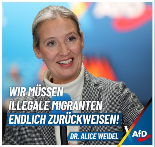 AfD 1.jpg