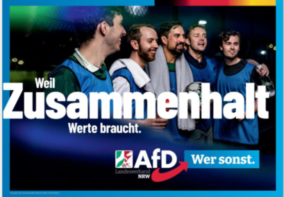 AfD 8.png