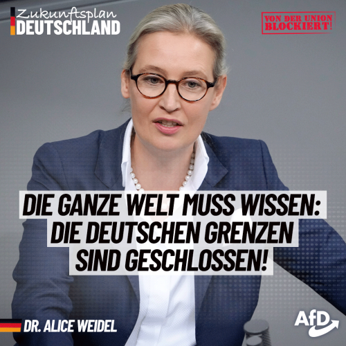 AfD 3.png