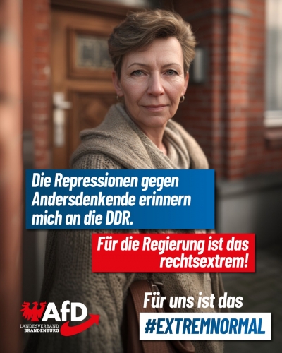 AfD 11.jpeg