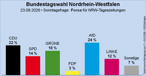 AfD NRW 1.png