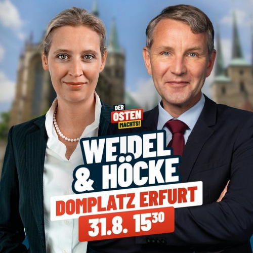 AfD 3.jpeg
