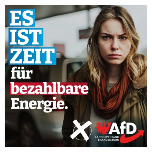 AfD 3.jpeg