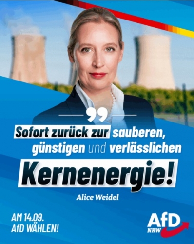 AfD 1.jpg